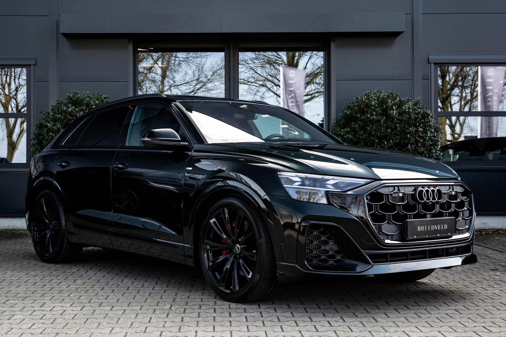 Hoofdafbeelding Audi Q8