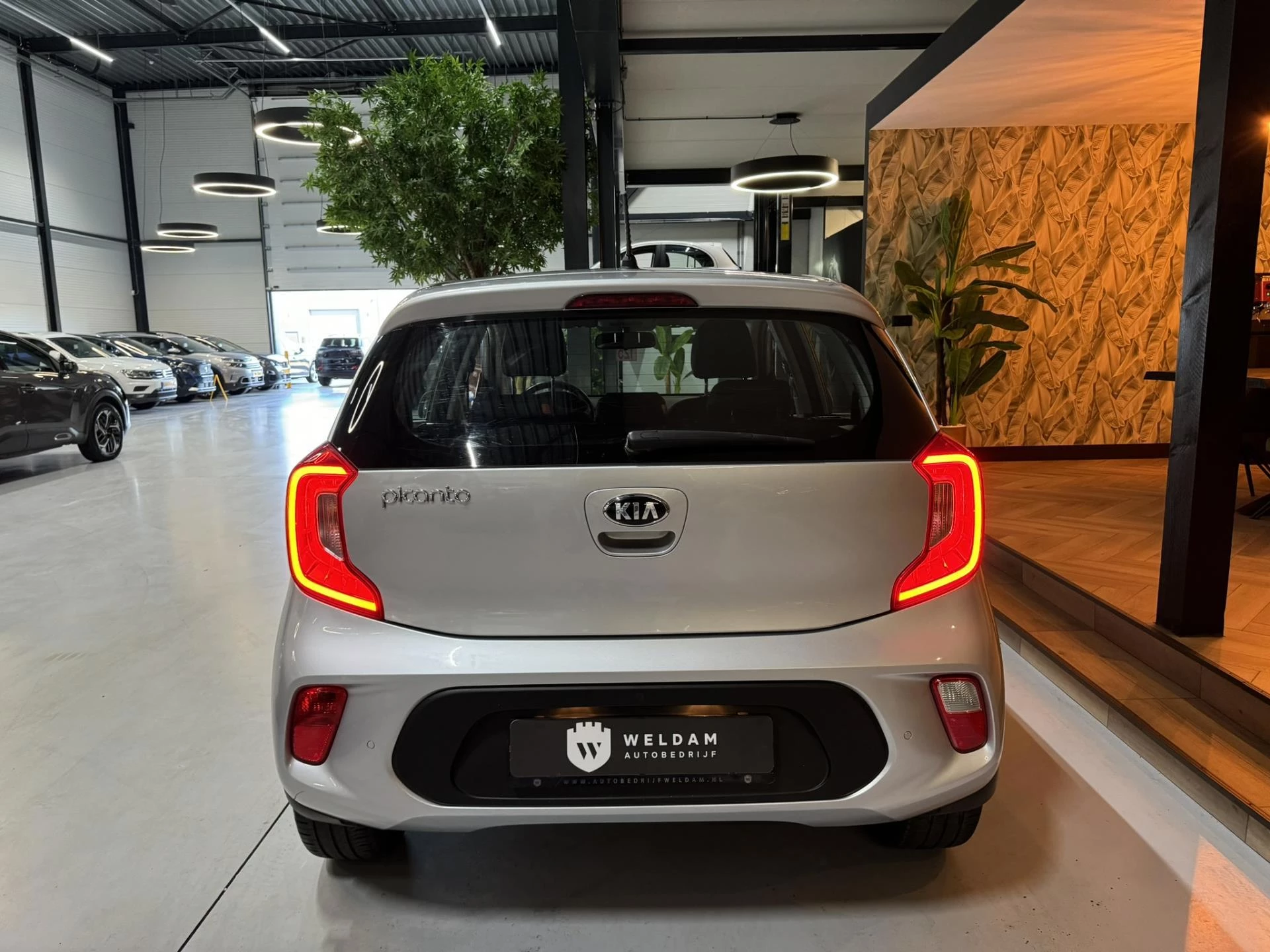 Hoofdafbeelding Kia Picanto