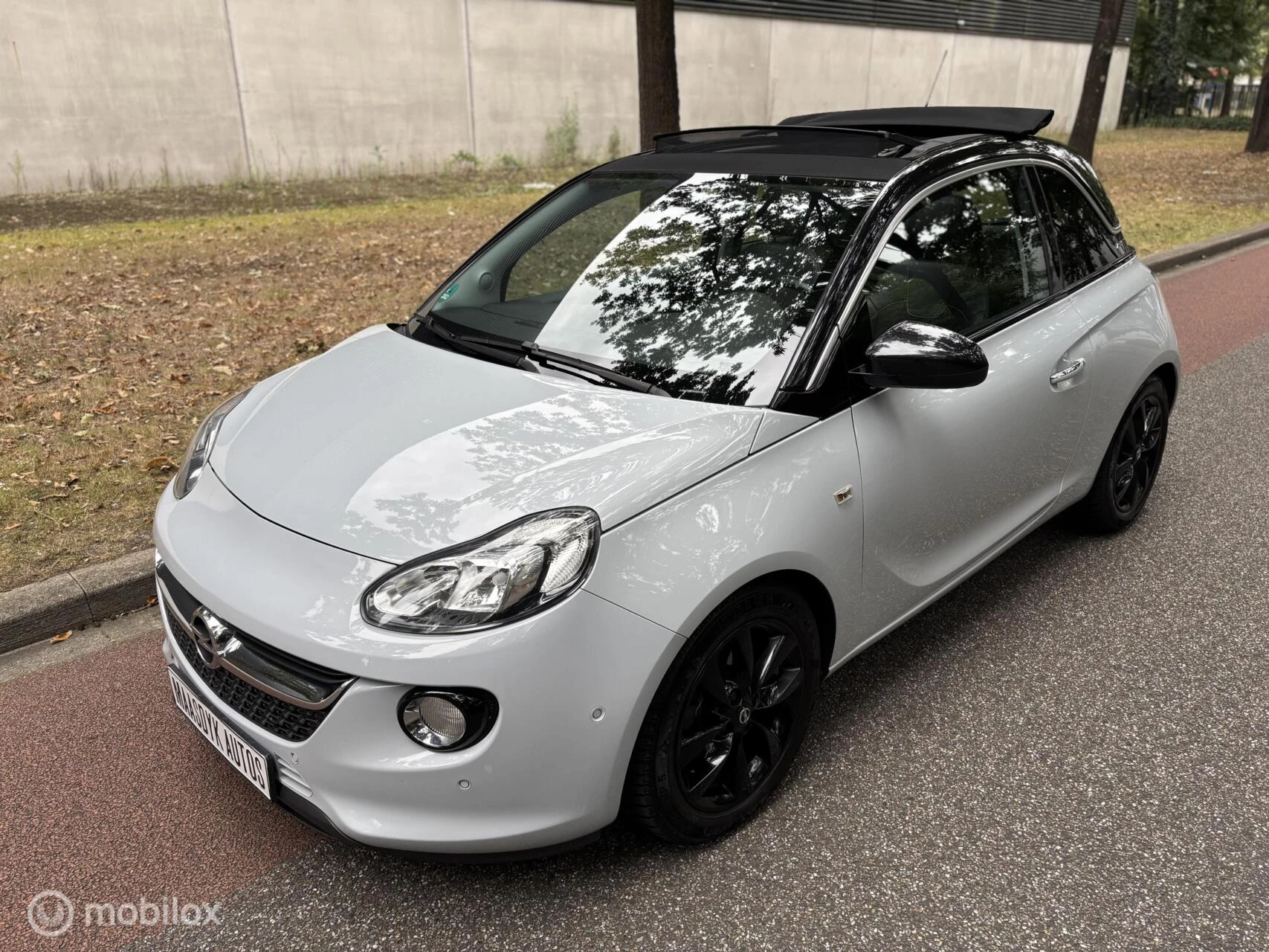Hoofdafbeelding Opel ADAM
