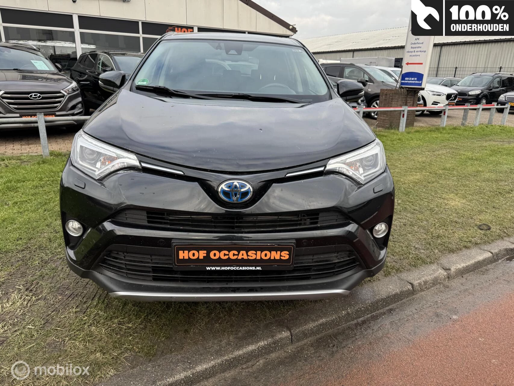 Hoofdafbeelding Toyota RAV4