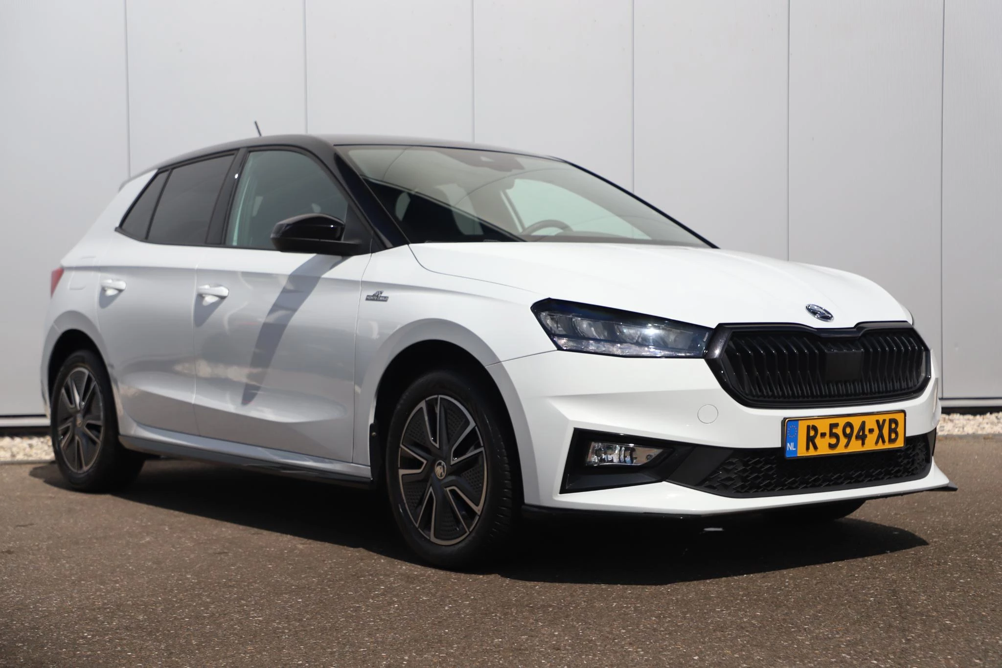Hoofdafbeelding Škoda Fabia