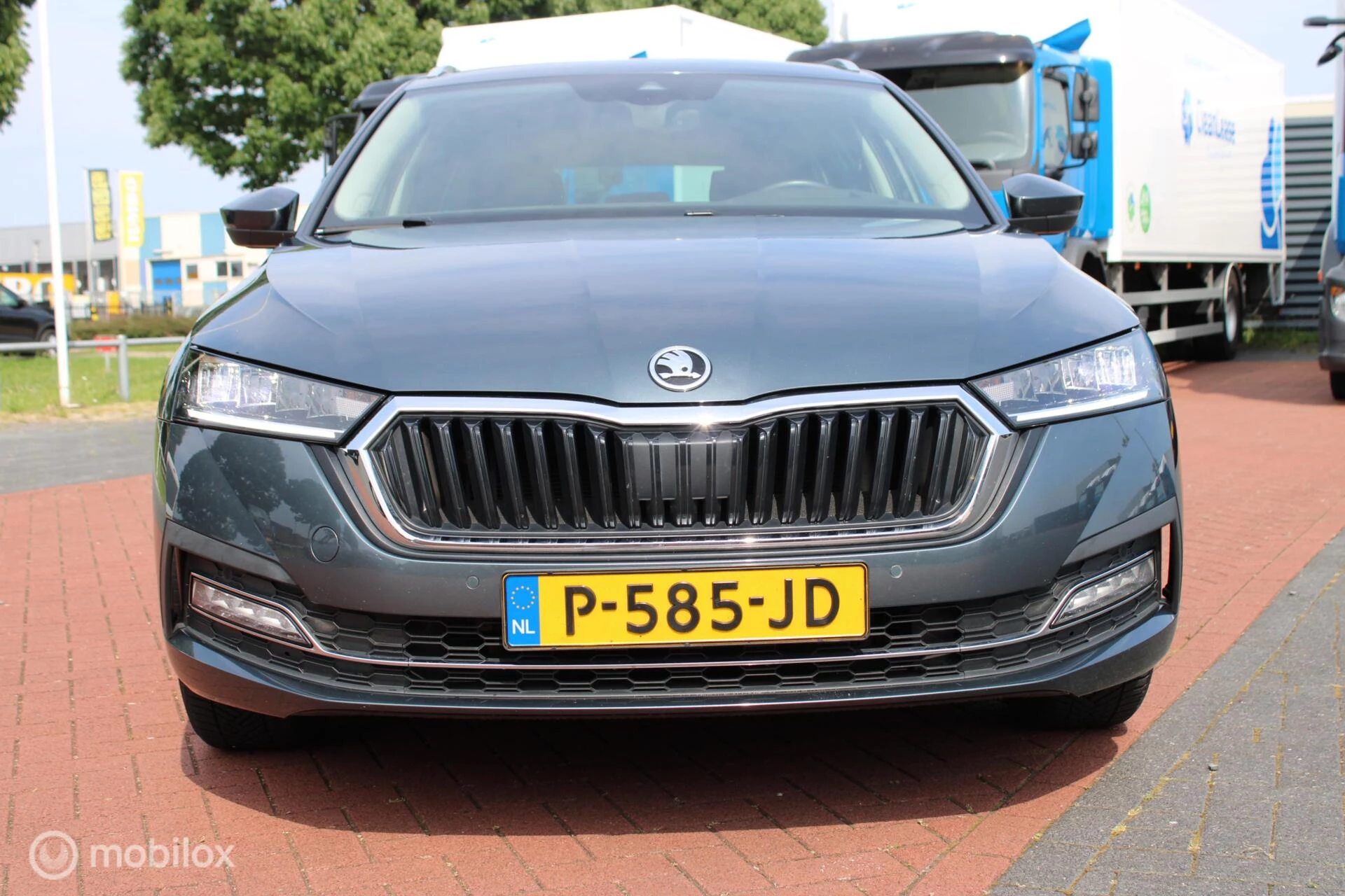 Hoofdafbeelding Škoda Octavia