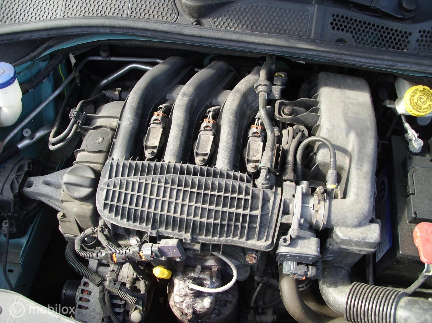 Hoofdafbeelding Citroën C4 Cactus