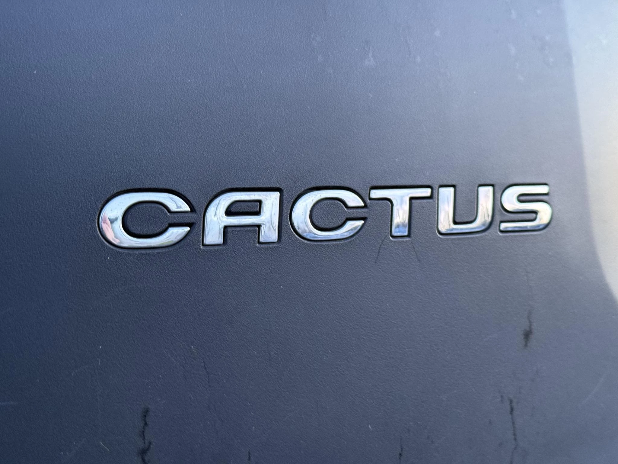 Hoofdafbeelding Citroën C4 Cactus