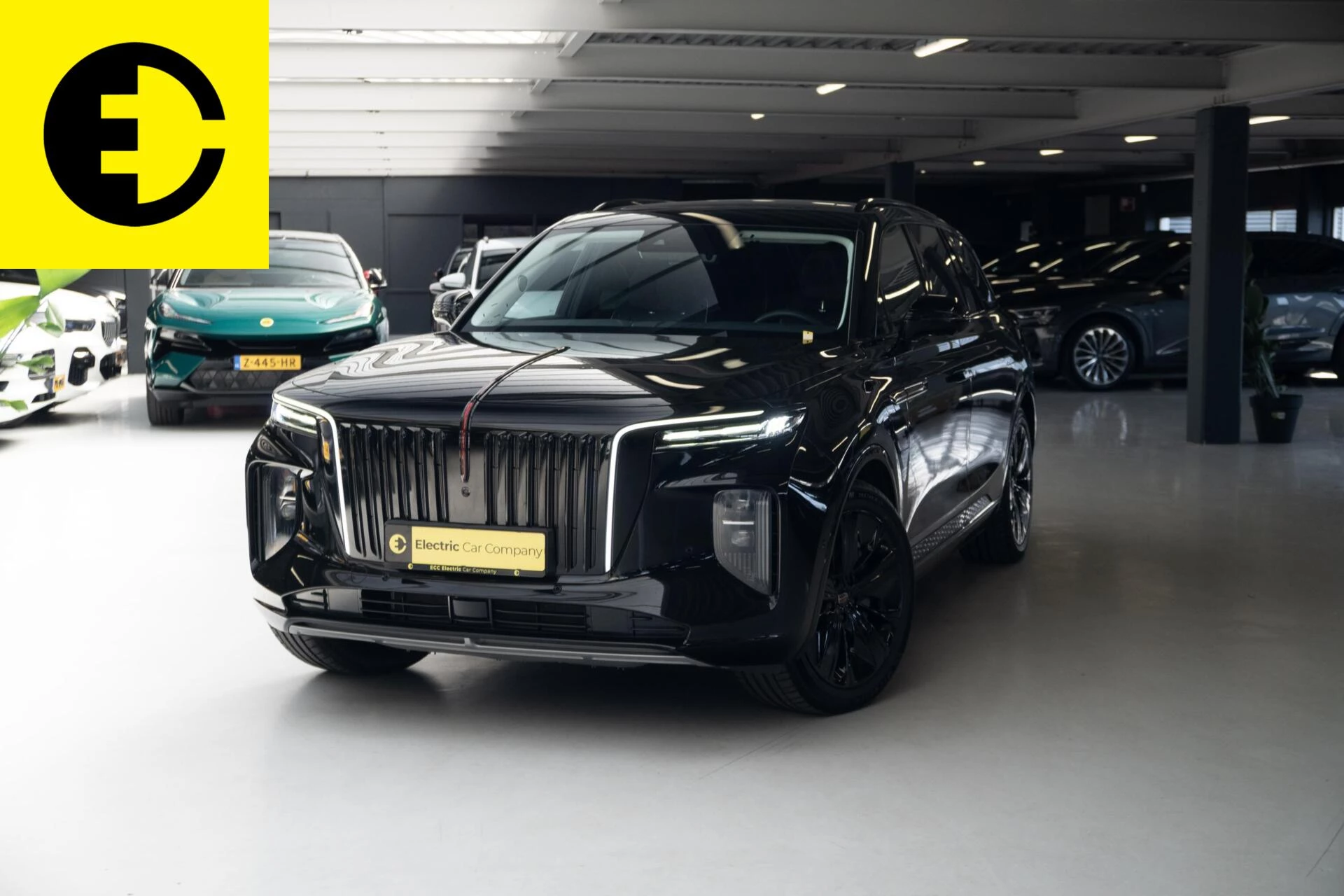 Hoofdafbeelding Hongqi E-HS9