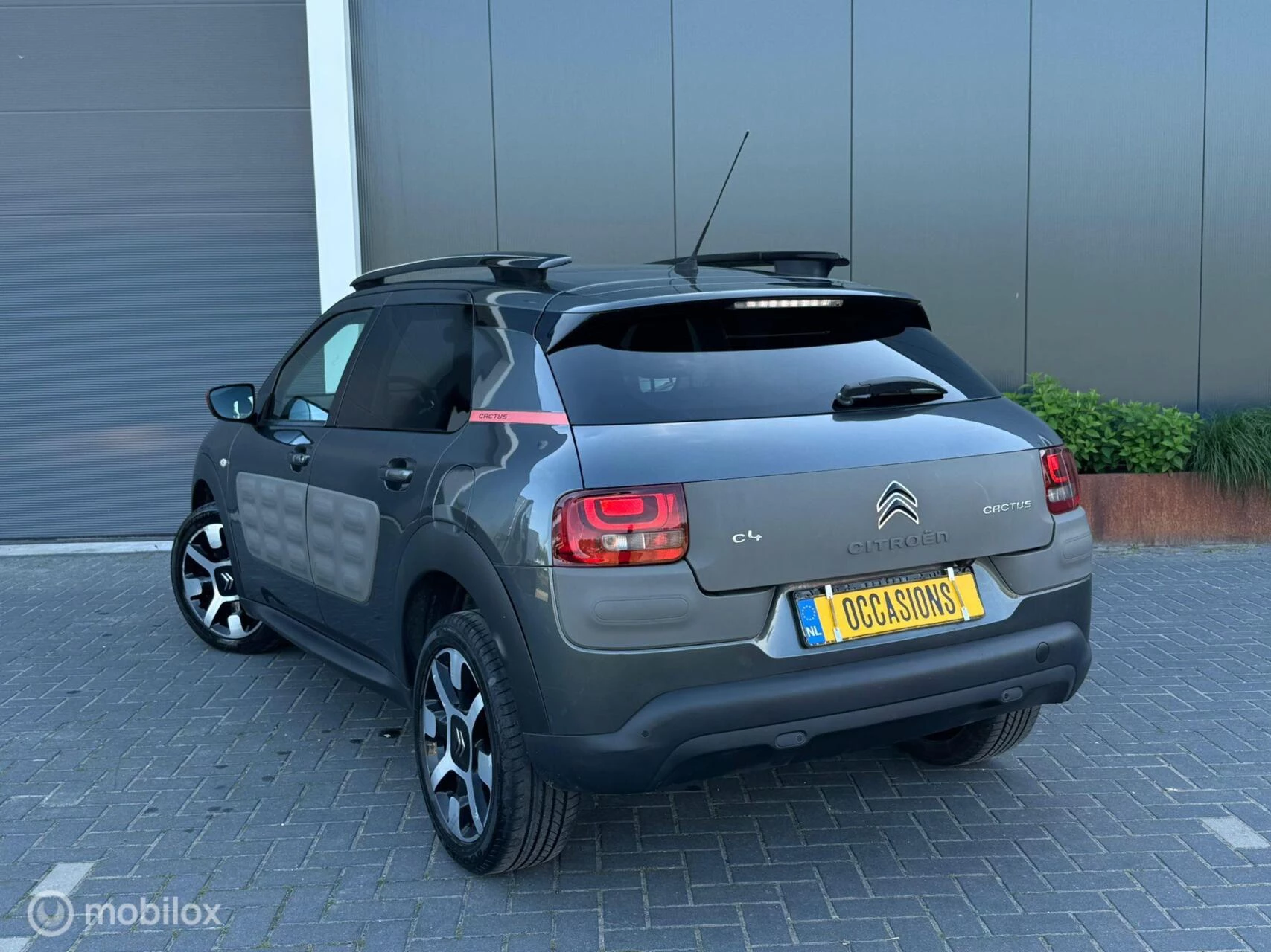 Hoofdafbeelding Citroën C4 Cactus