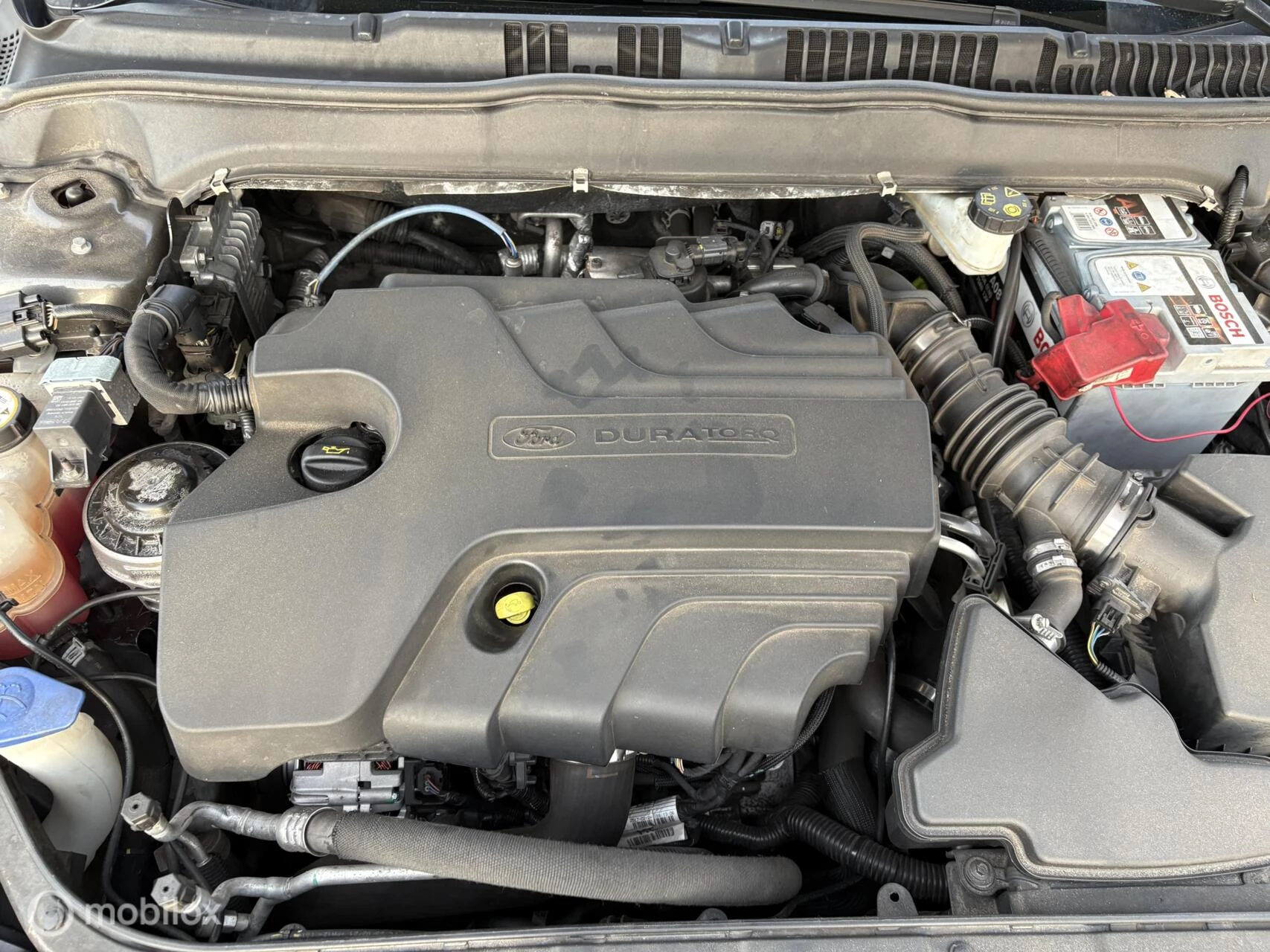 Hoofdafbeelding Ford Mondeo