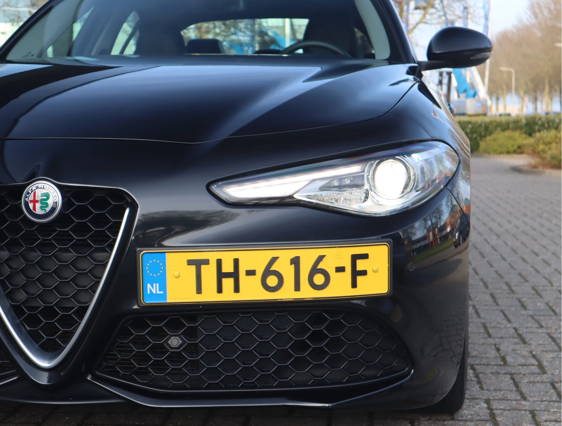 Hoofdafbeelding Alfa Romeo Giulia