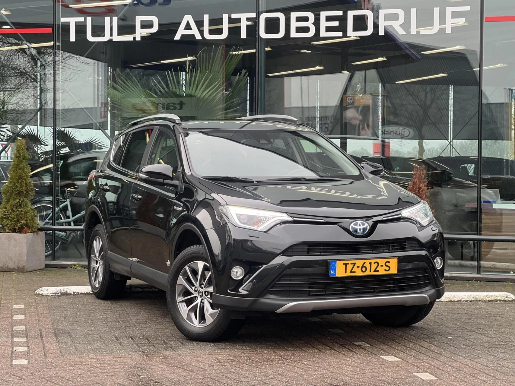 Hoofdafbeelding Toyota RAV4