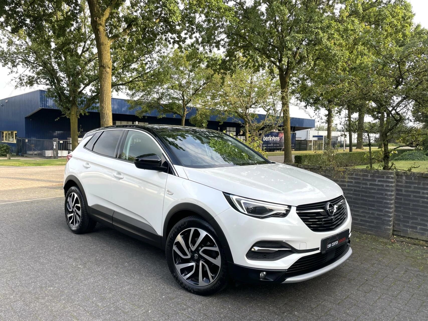 Hoofdafbeelding Opel Grandland X