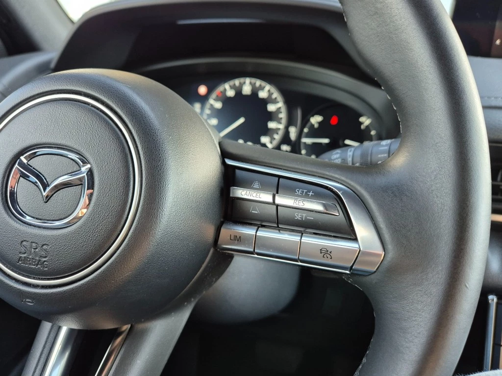 Hoofdafbeelding Mazda MX-30