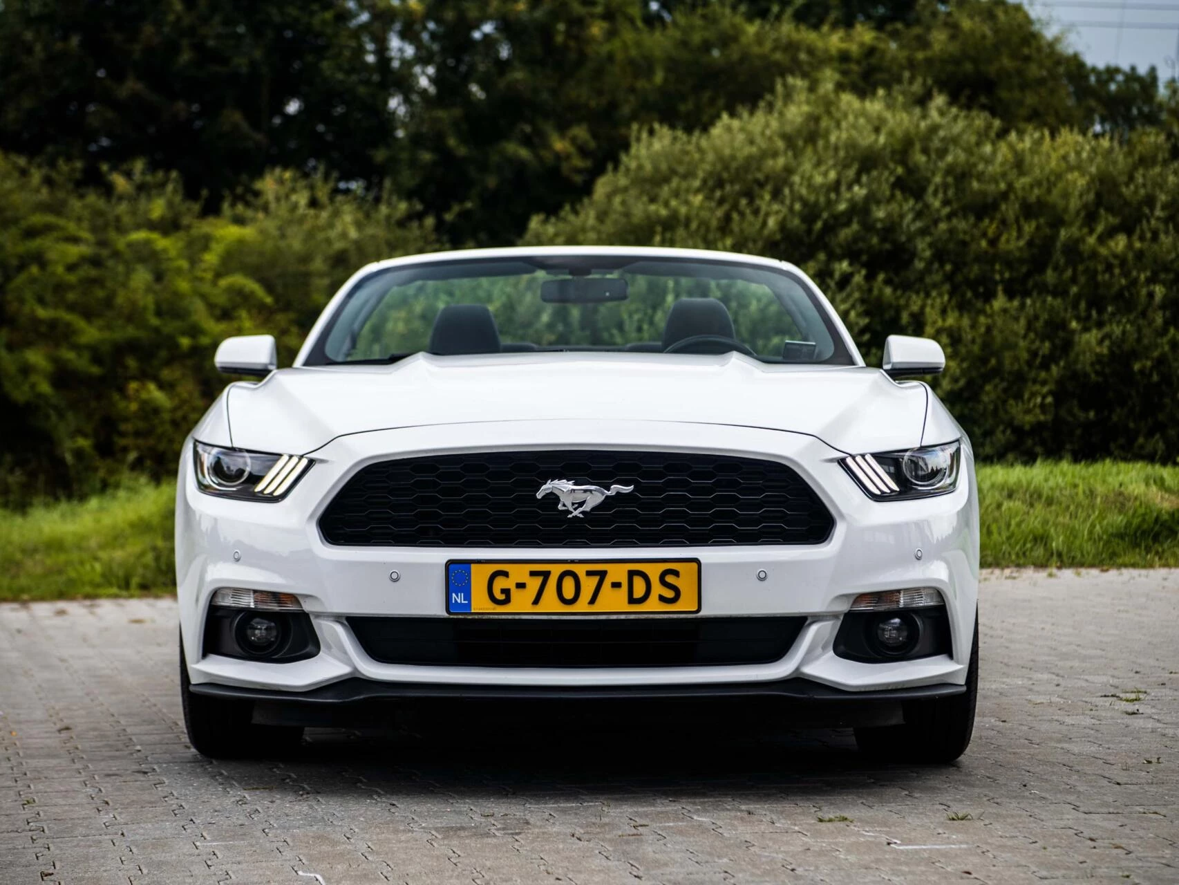 Hoofdafbeelding Ford Mustang