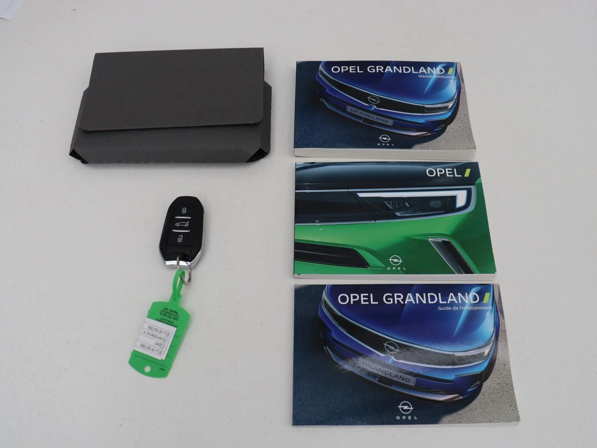 Hoofdafbeelding Opel Grandland X