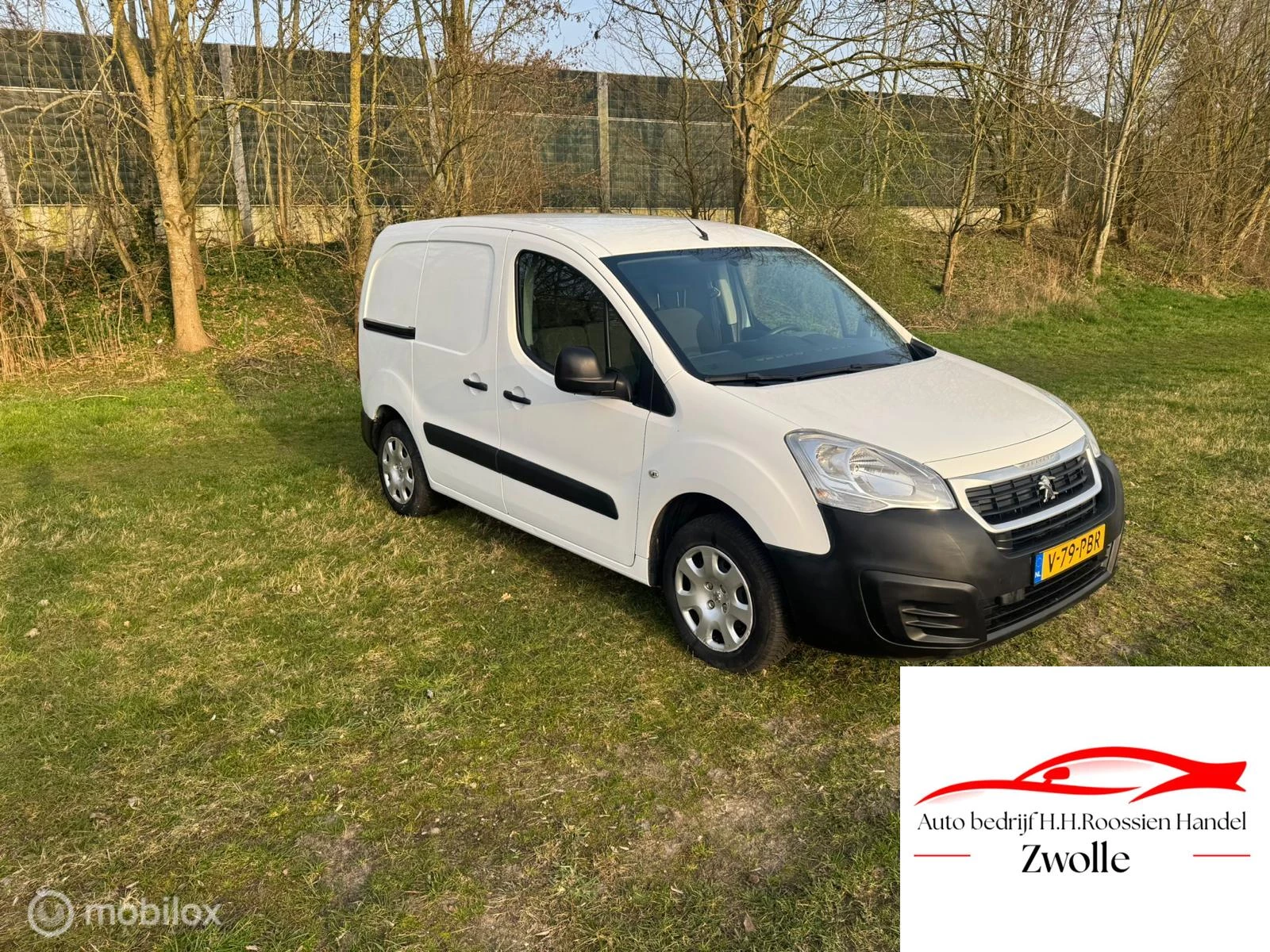 Hoofdafbeelding Peugeot Partner