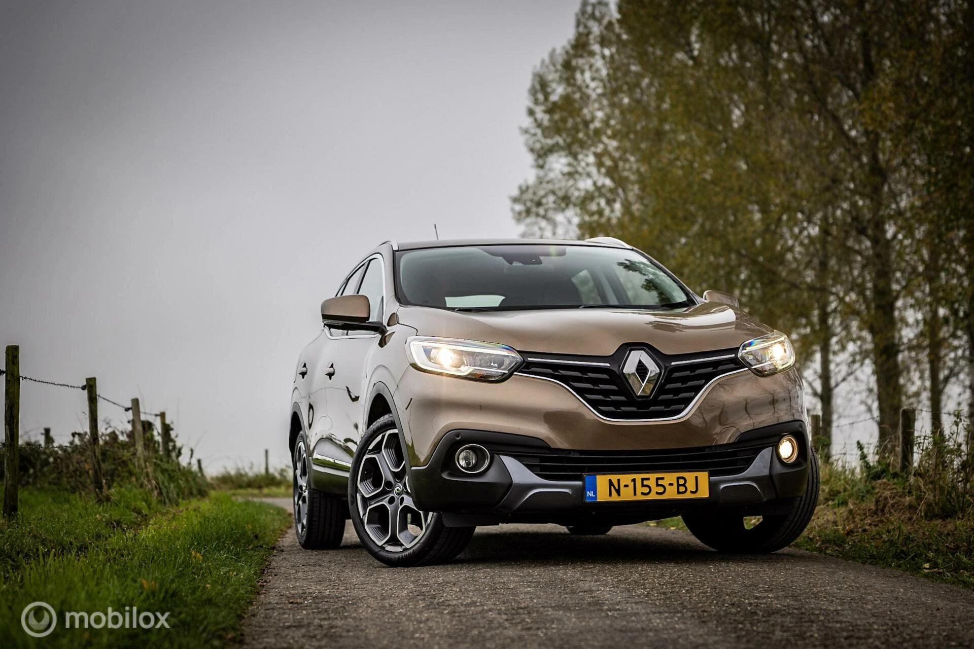 Hoofdafbeelding Renault Kadjar