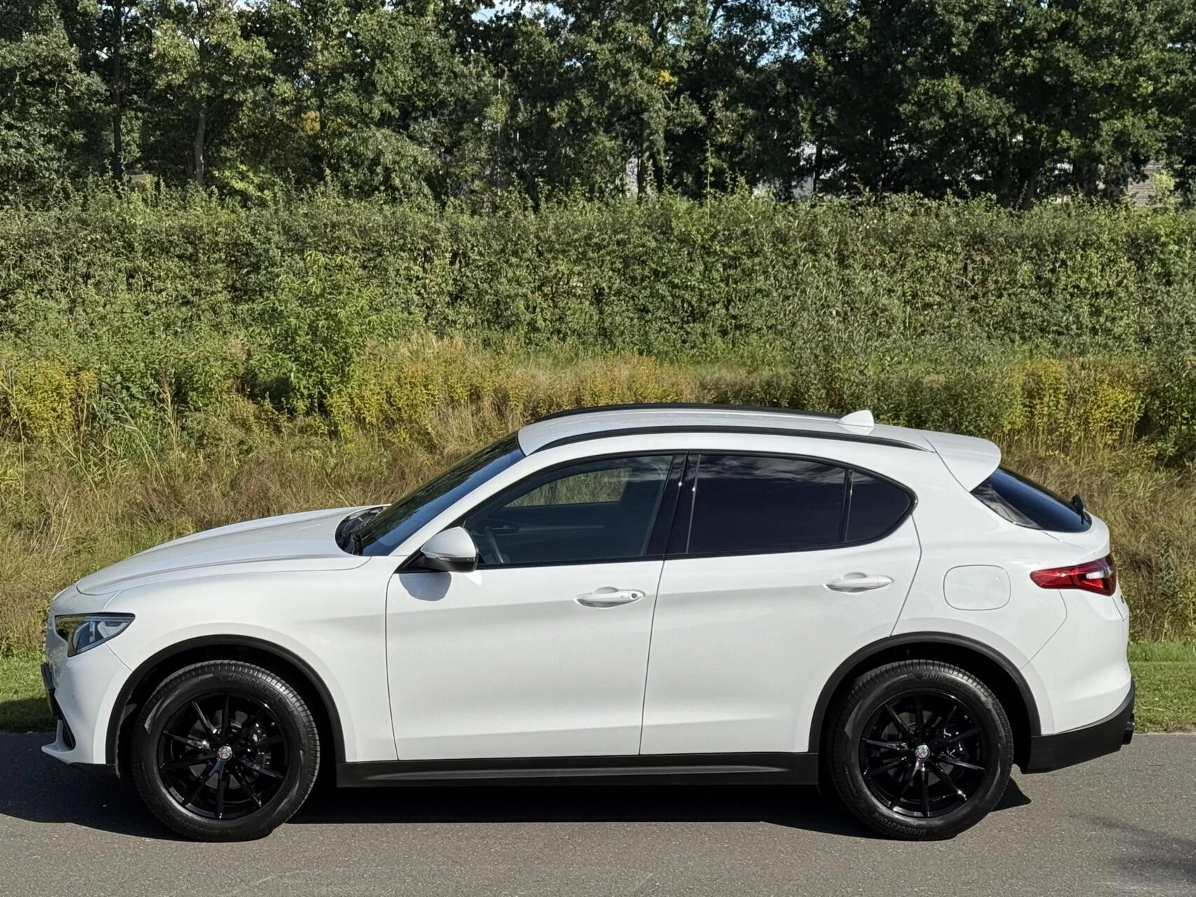 Hoofdafbeelding Alfa Romeo Stelvio