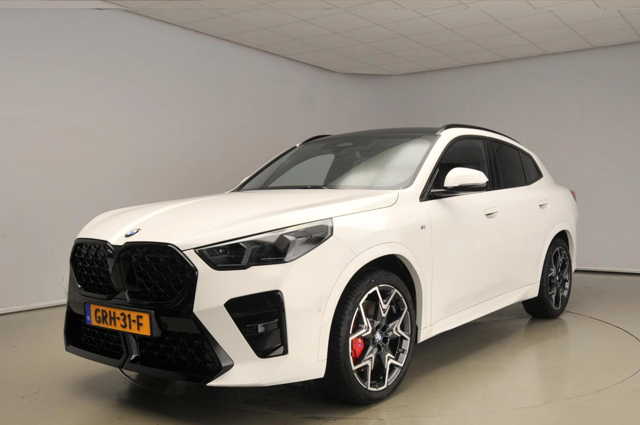 Hoofdafbeelding BMW X2