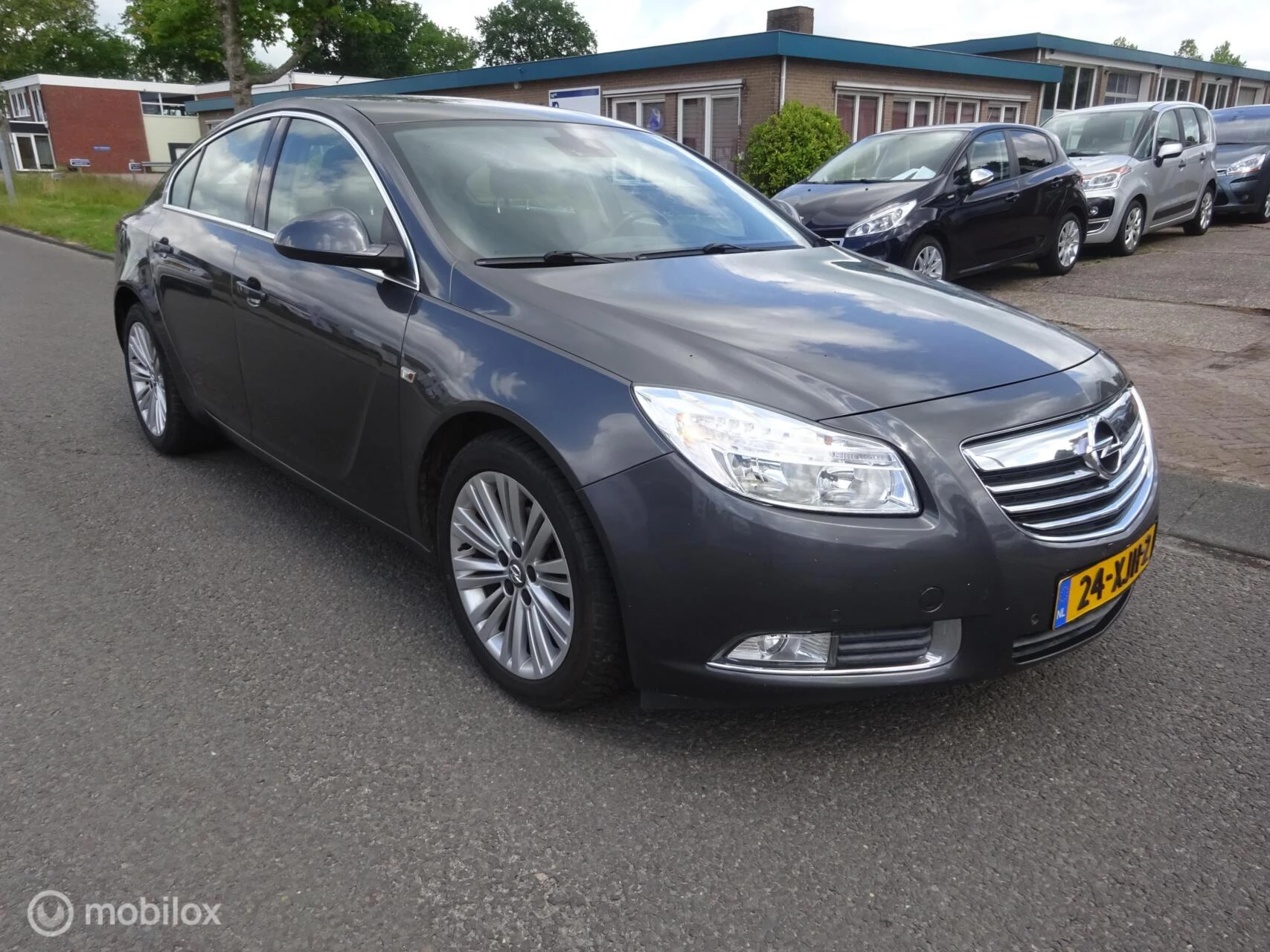 Hoofdafbeelding Opel Insignia