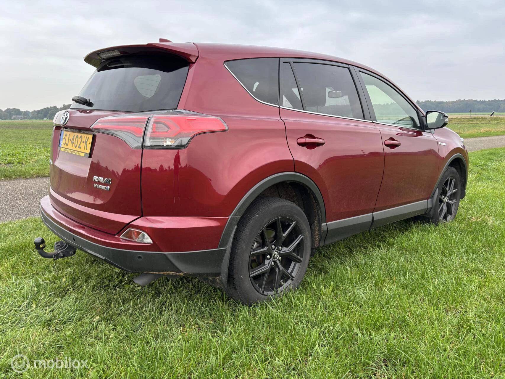 Hoofdafbeelding Toyota RAV4