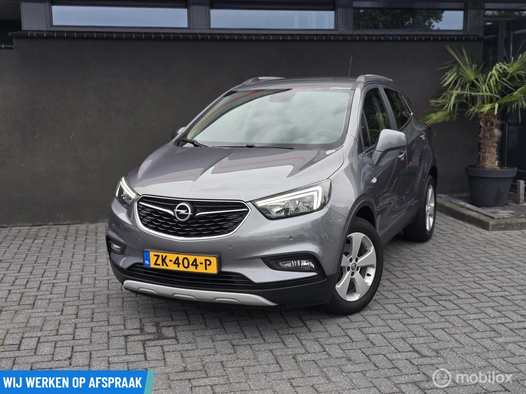 Hoofdafbeelding Opel Mokka X