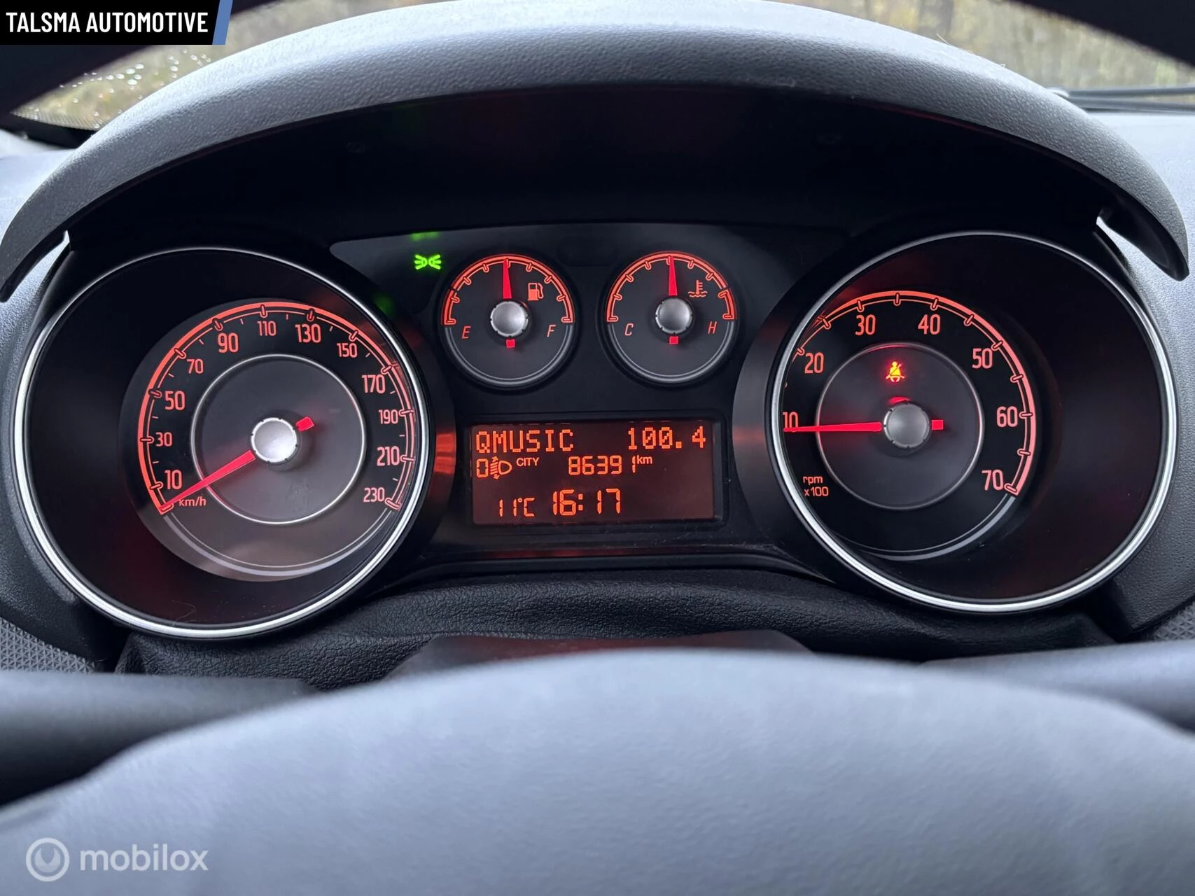 Hoofdafbeelding Fiat Punto