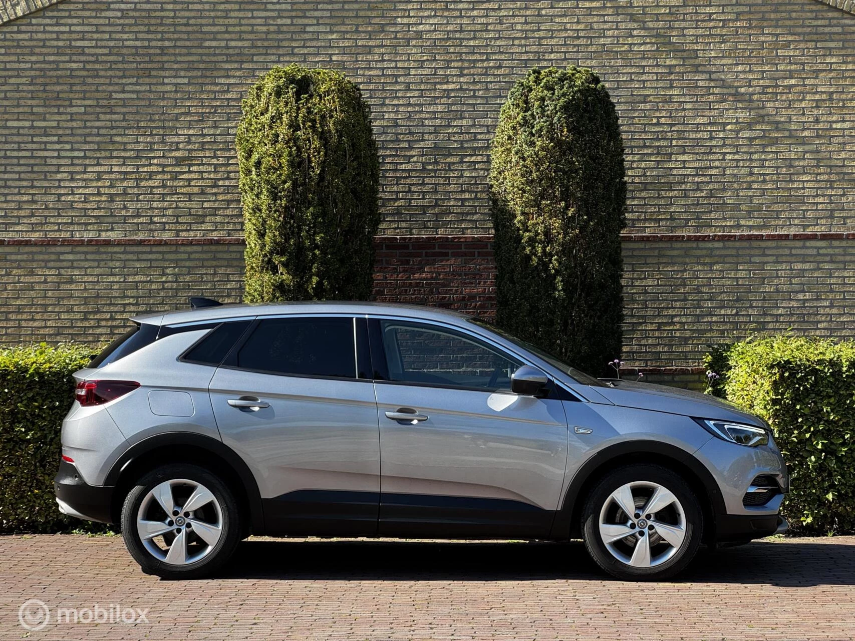 Hoofdafbeelding Opel Grandland X