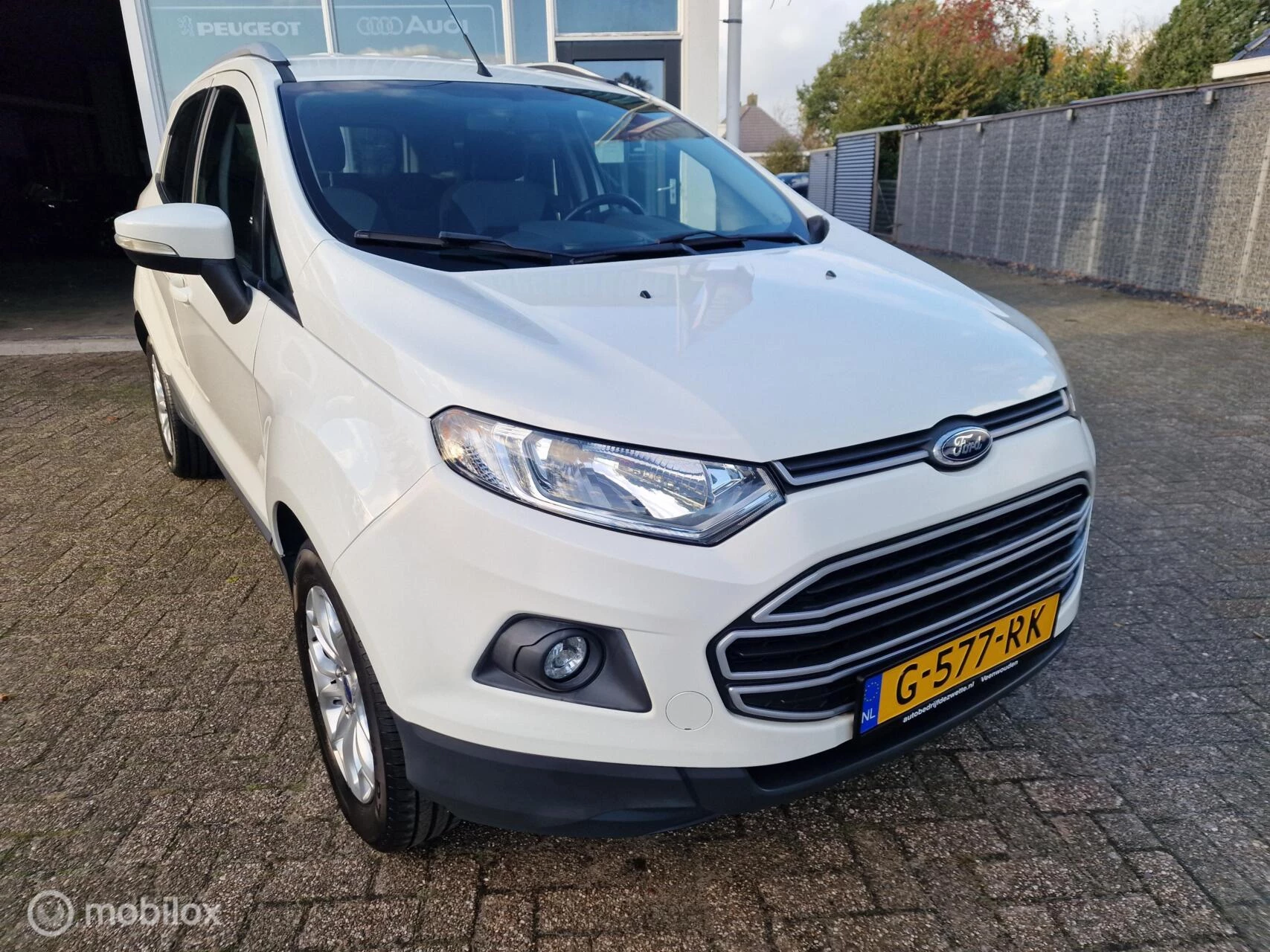Hoofdafbeelding Ford EcoSport