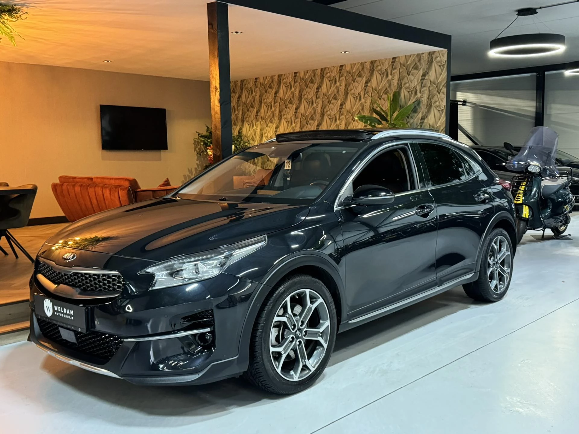 Hoofdafbeelding Kia XCeed