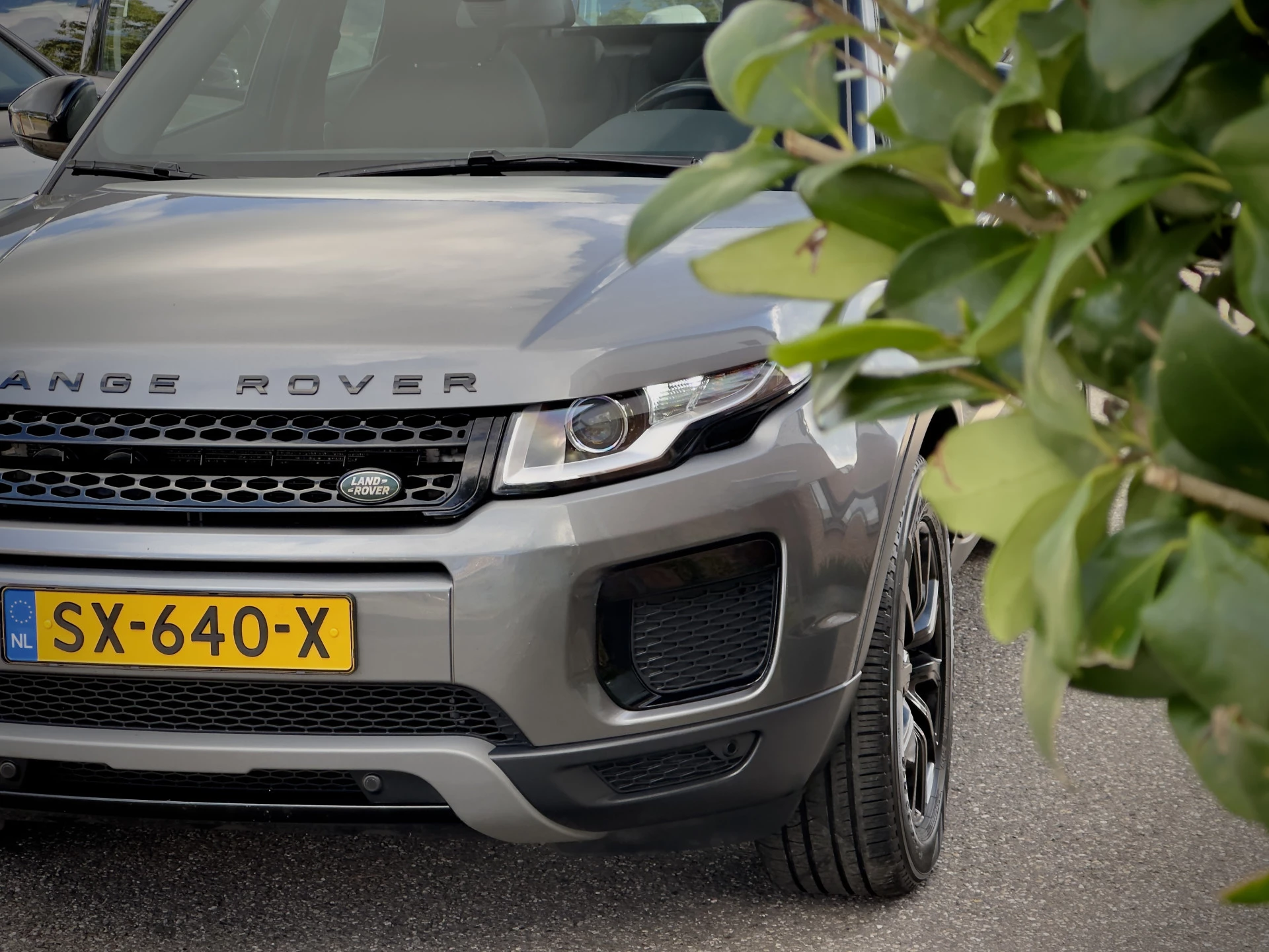 Hoofdafbeelding Land Rover Range Rover Evoque