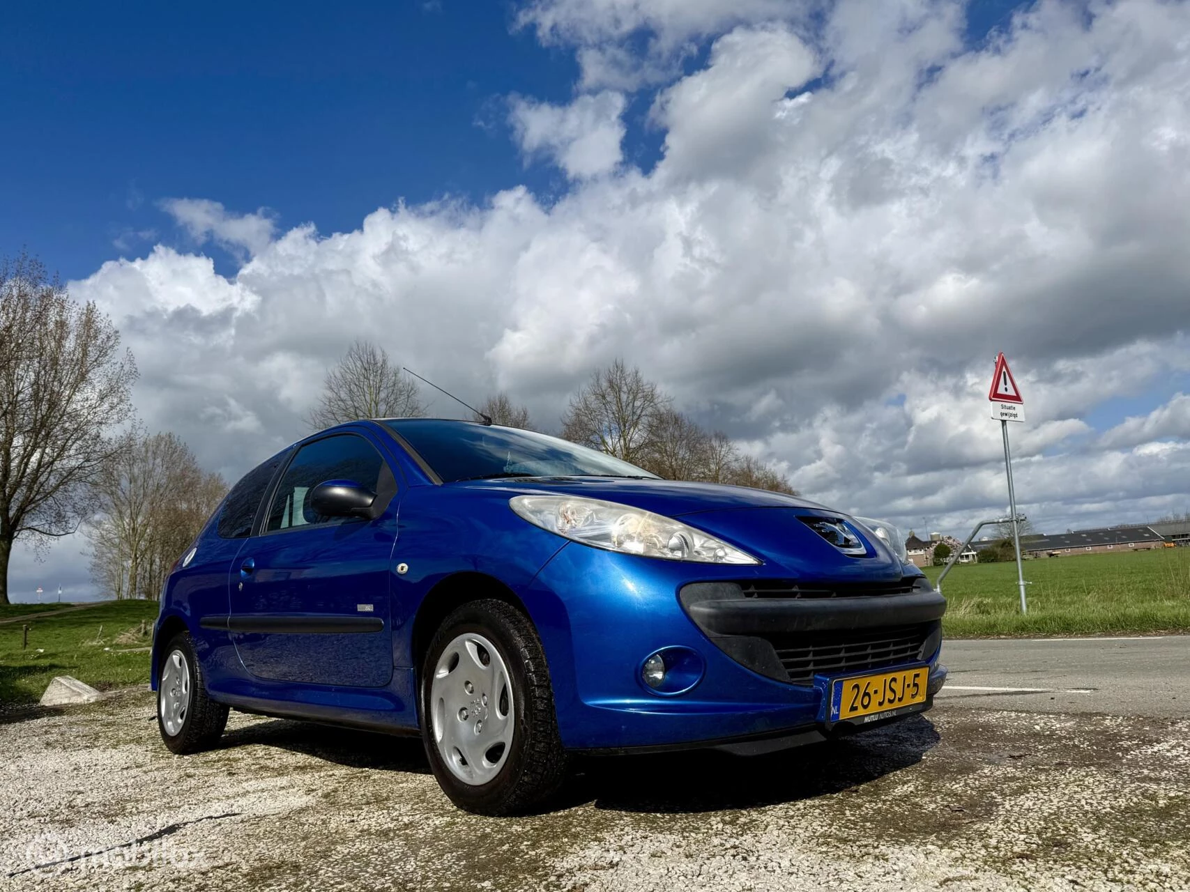 Hoofdafbeelding Peugeot 206
