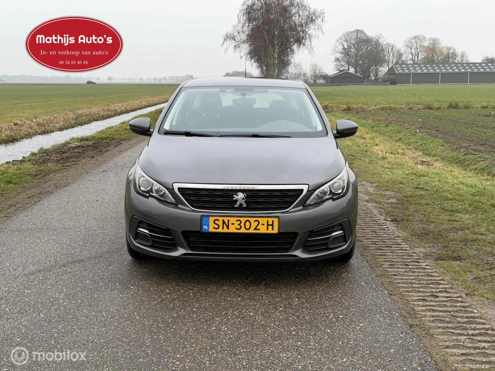Hoofdafbeelding Peugeot 308