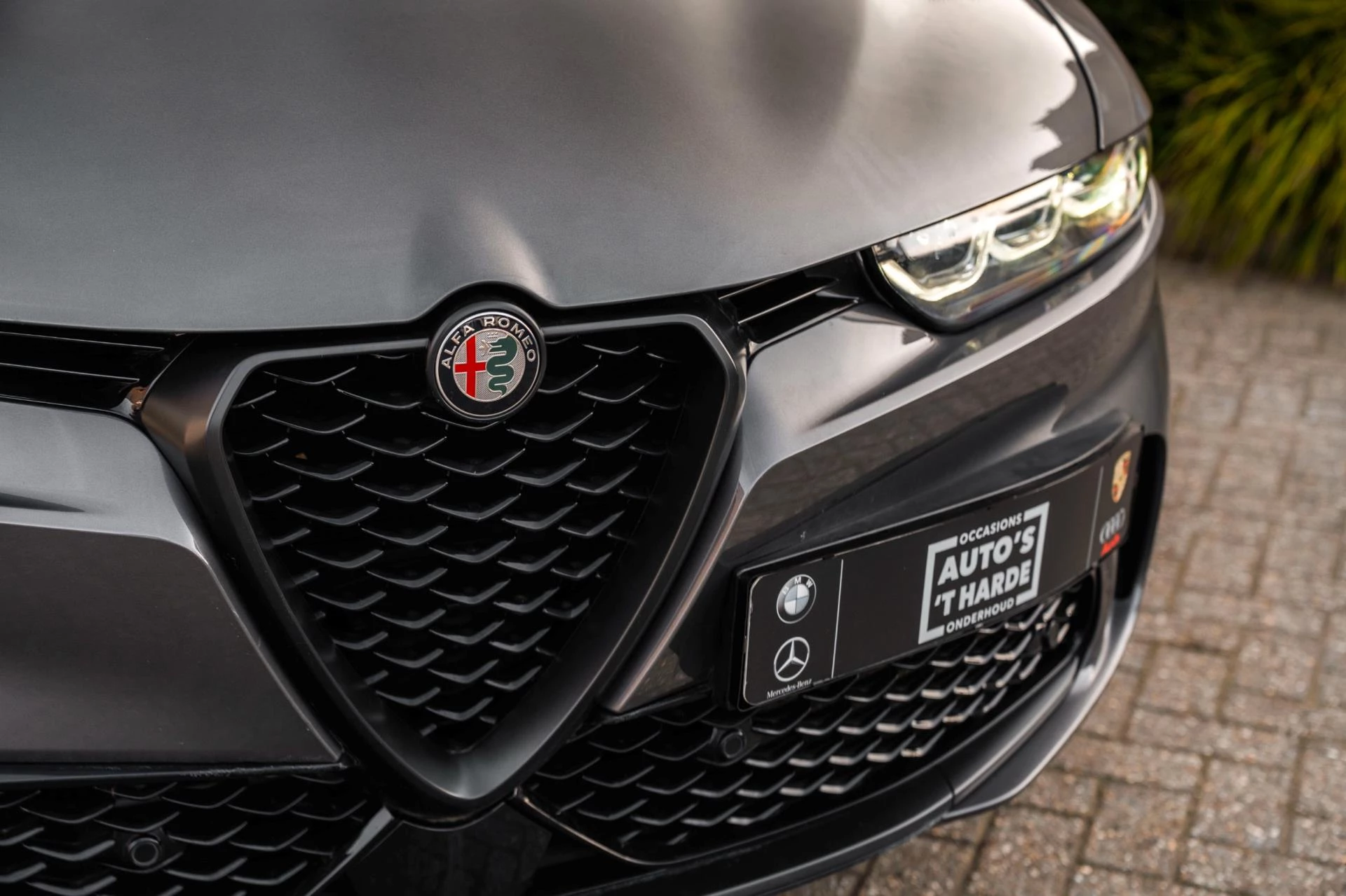 Hoofdafbeelding Alfa Romeo Tonale