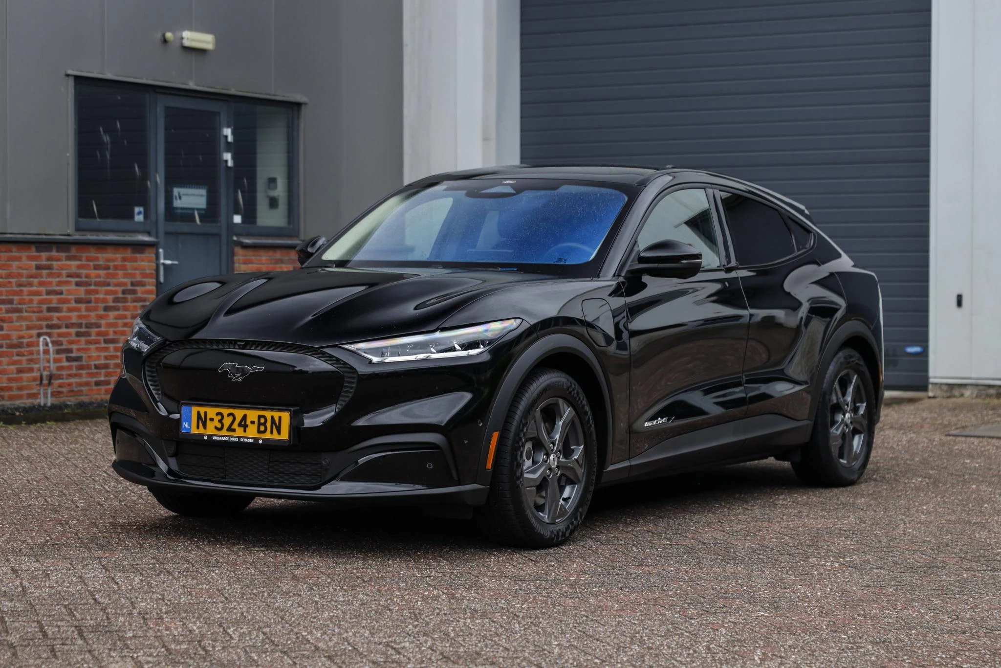 Hoofdafbeelding Ford Mustang Mach-E