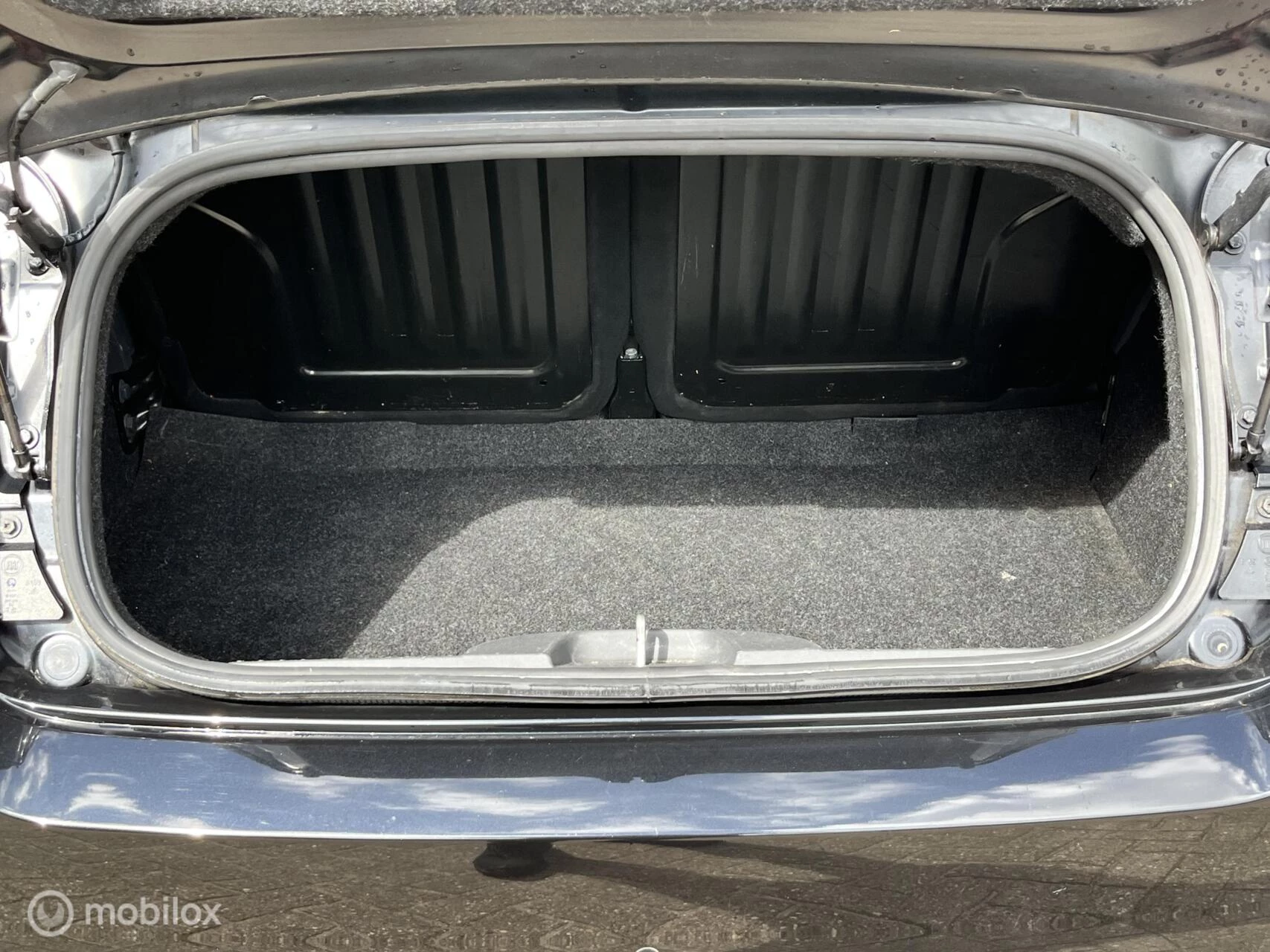 Hoofdafbeelding Fiat cabrio