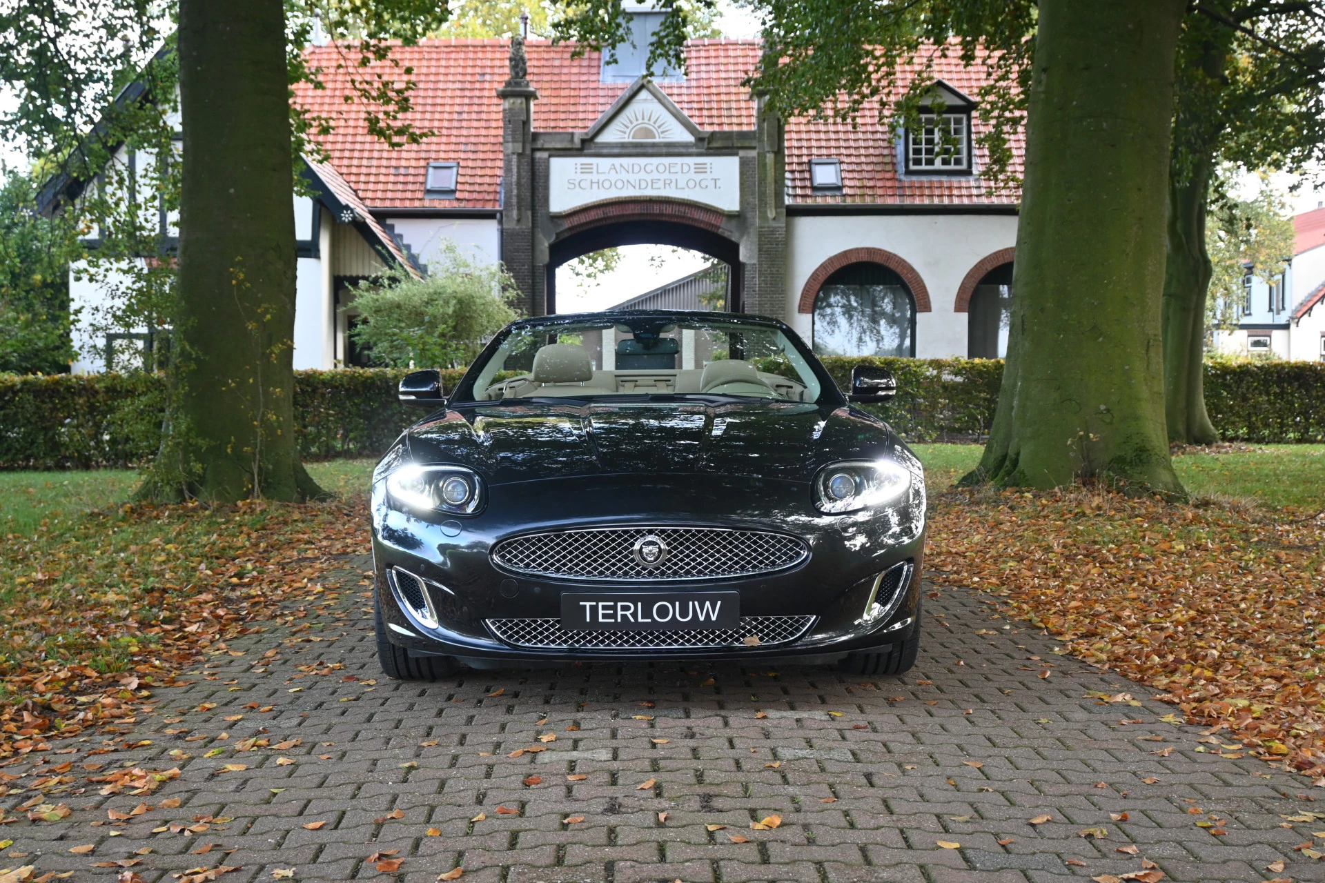 Hoofdafbeelding Jaguar XK