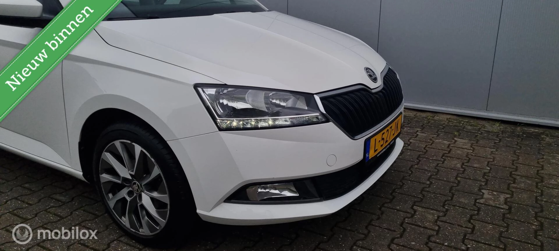 Hoofdafbeelding Škoda Fabia