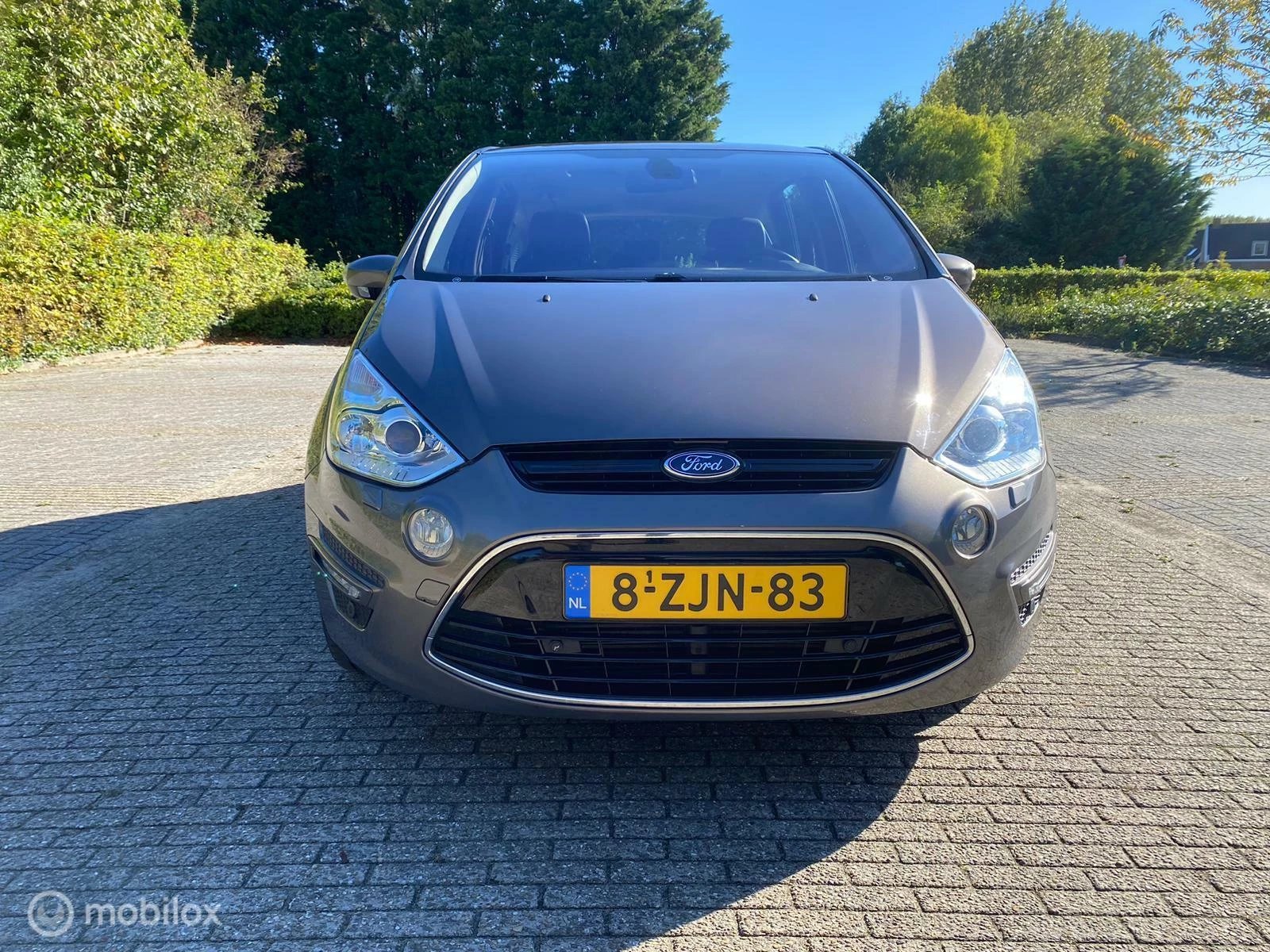 Hoofdafbeelding Ford S-Max