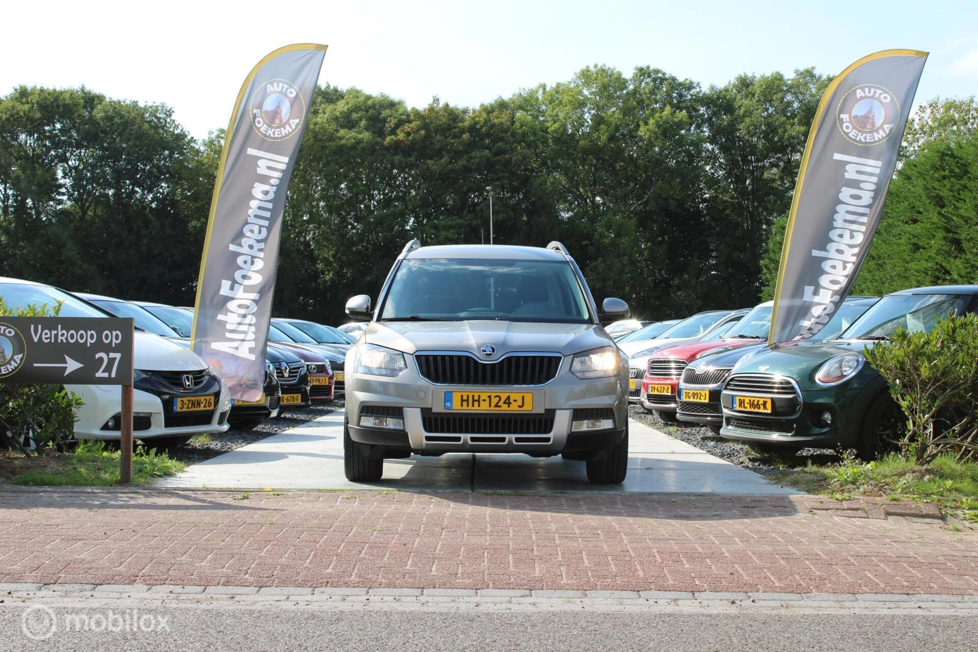 Hoofdafbeelding Škoda Yeti