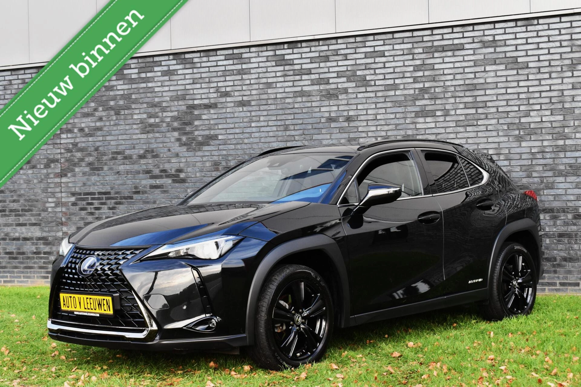 Hoofdafbeelding Lexus UX