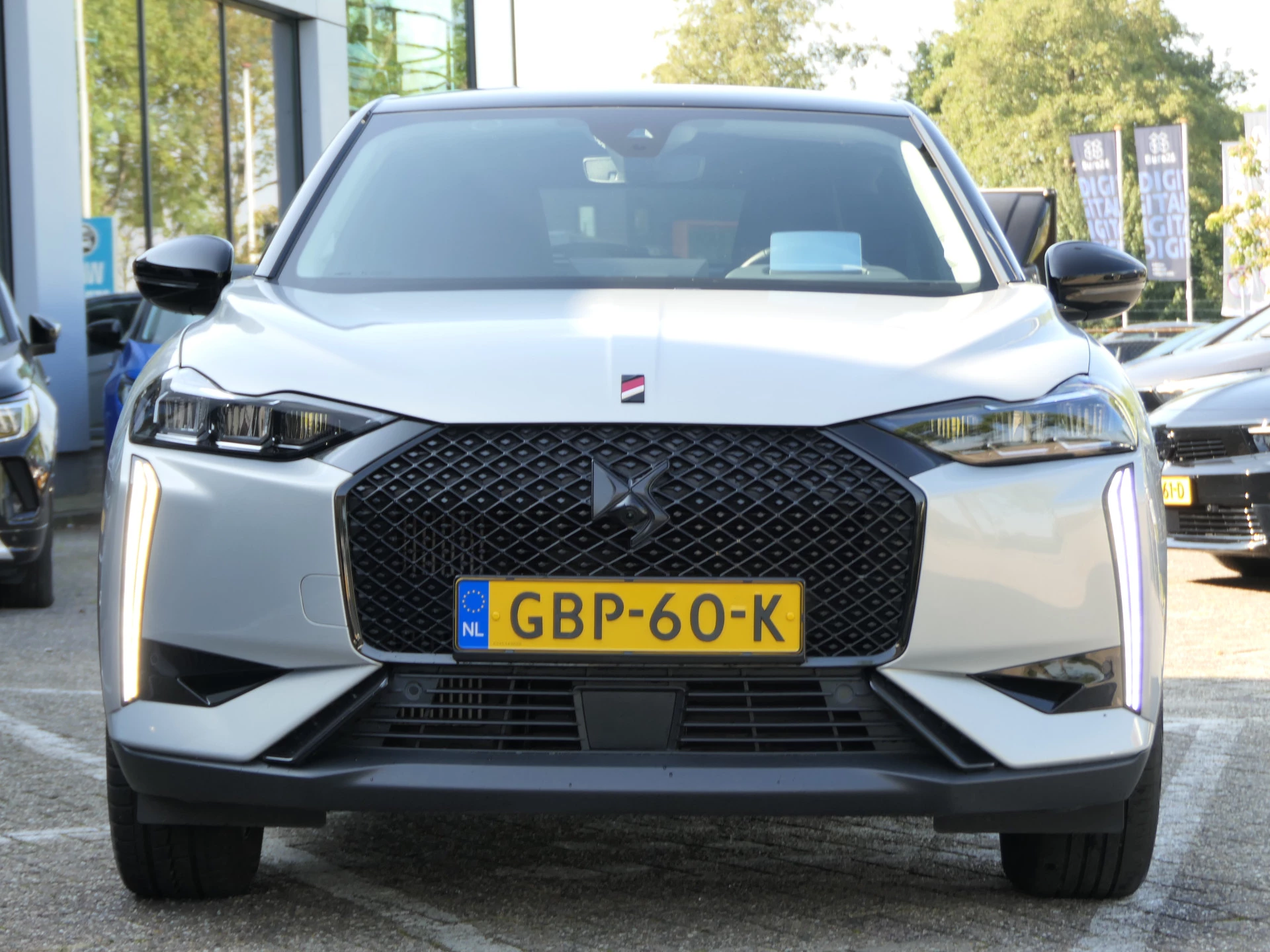 Hoofdafbeelding DS DS 3