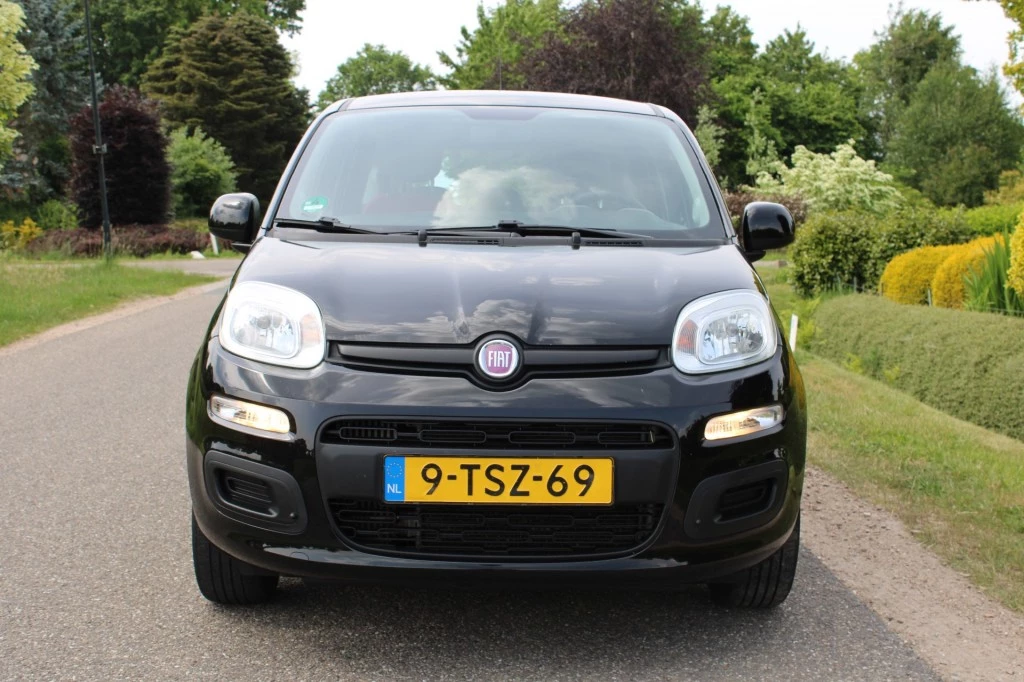 Hoofdafbeelding Fiat Panda