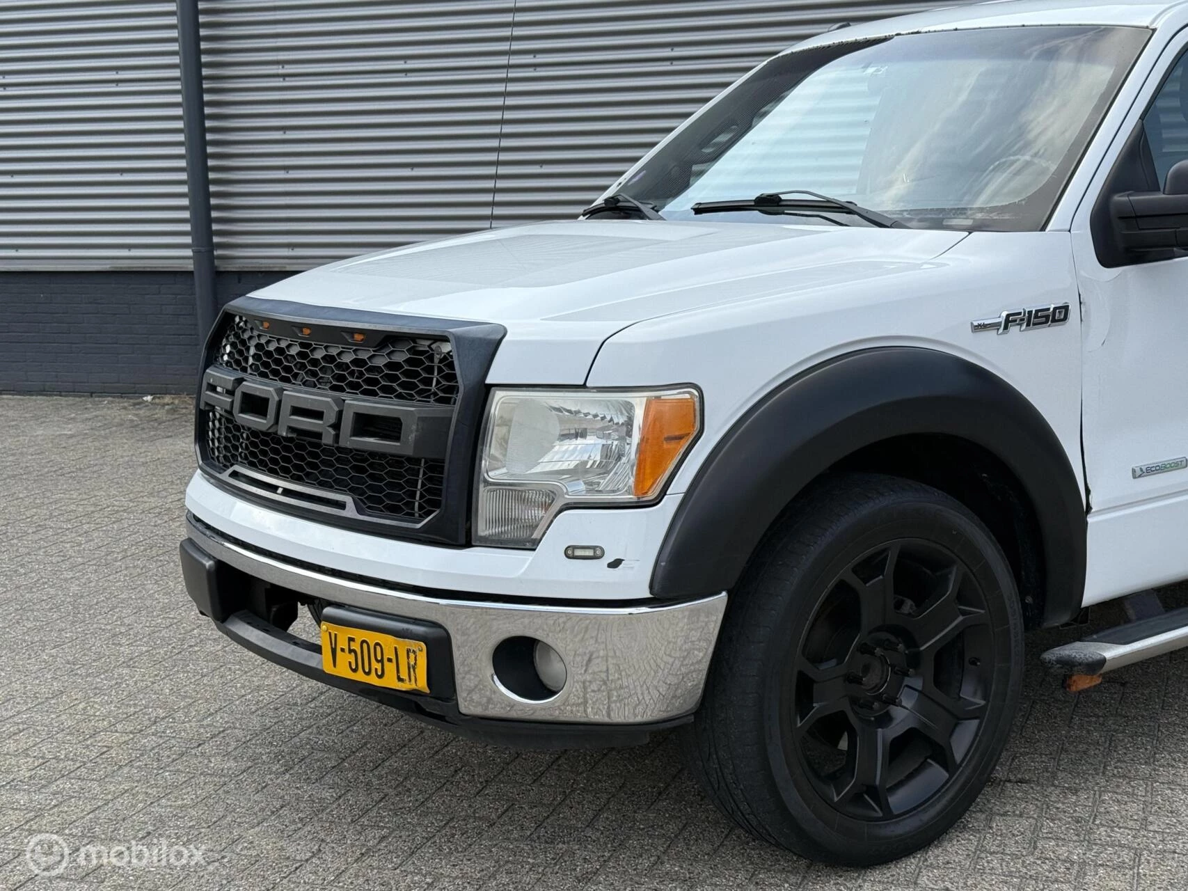 Hoofdafbeelding Ford F-150