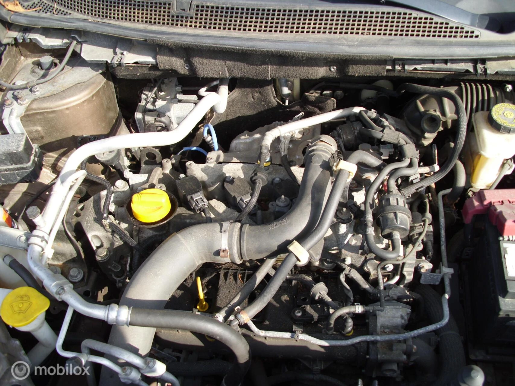 Hoofdafbeelding Renault Kadjar