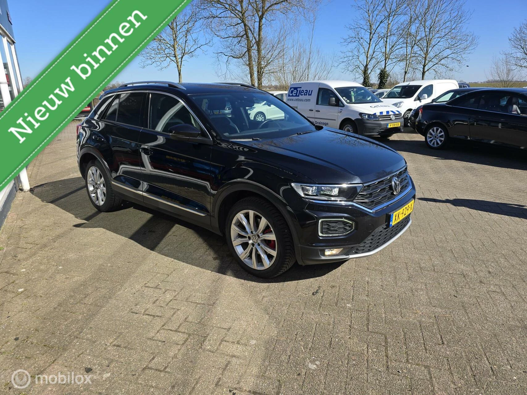 Hoofdafbeelding Volkswagen T-Roc