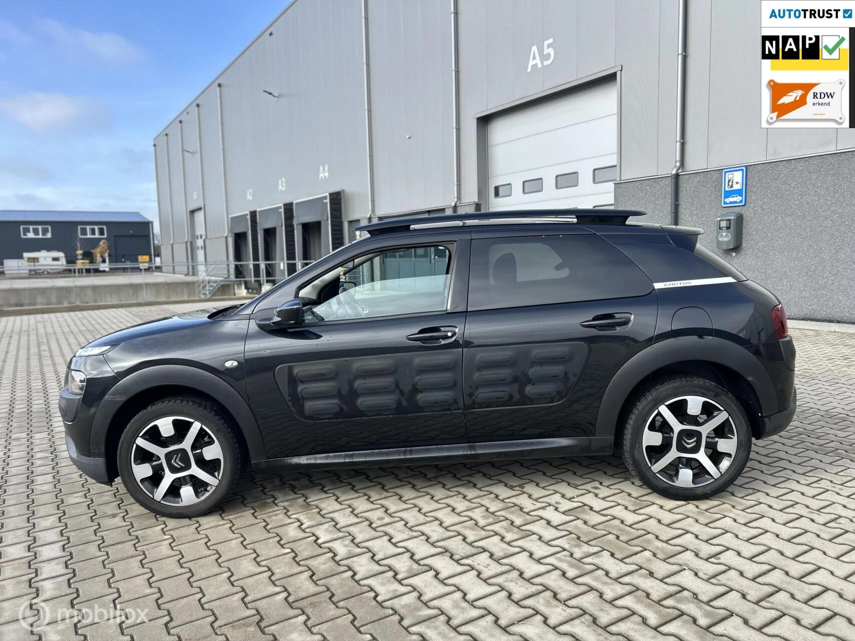 Hoofdafbeelding Citroën C4 Cactus