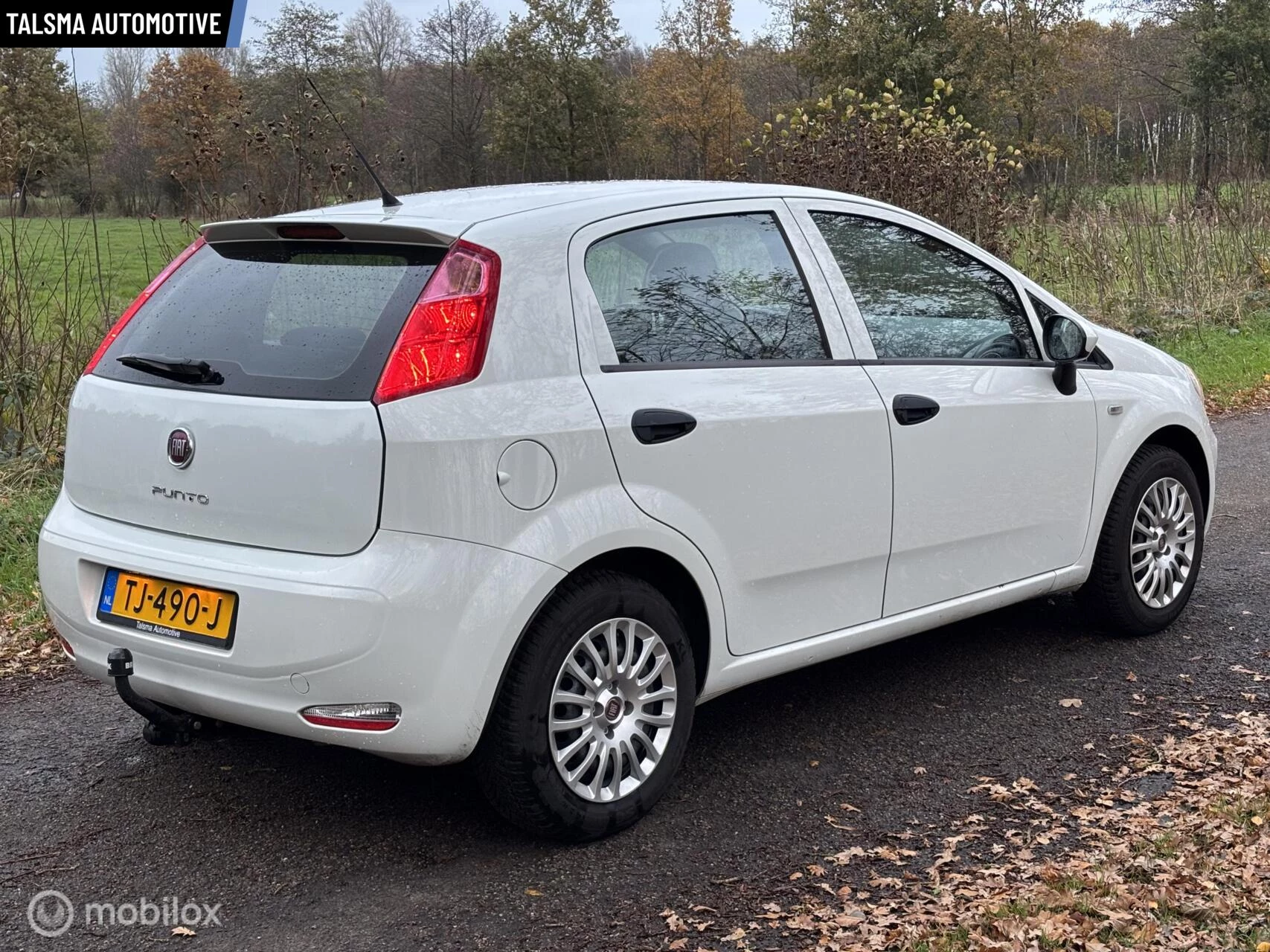 Hoofdafbeelding Fiat Punto