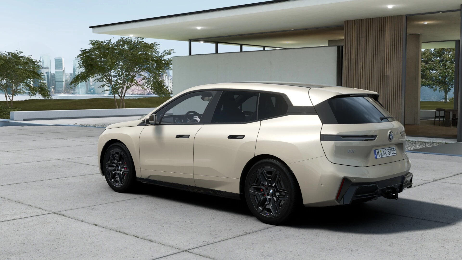 Hoofdafbeelding BMW iX
