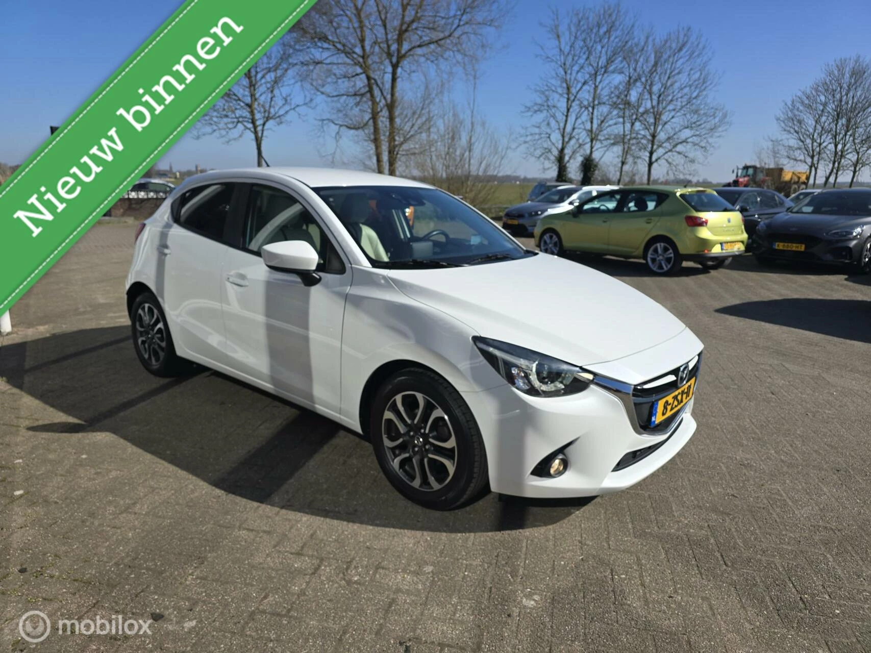 Hoofdafbeelding Mazda 2