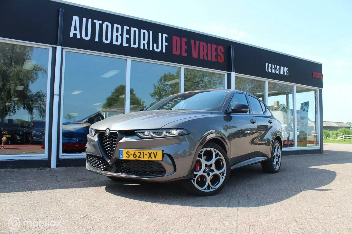 Hoofdafbeelding Alfa Romeo Tonale