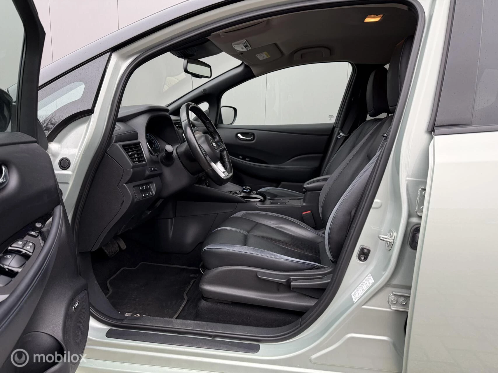 Hoofdafbeelding Nissan Leaf